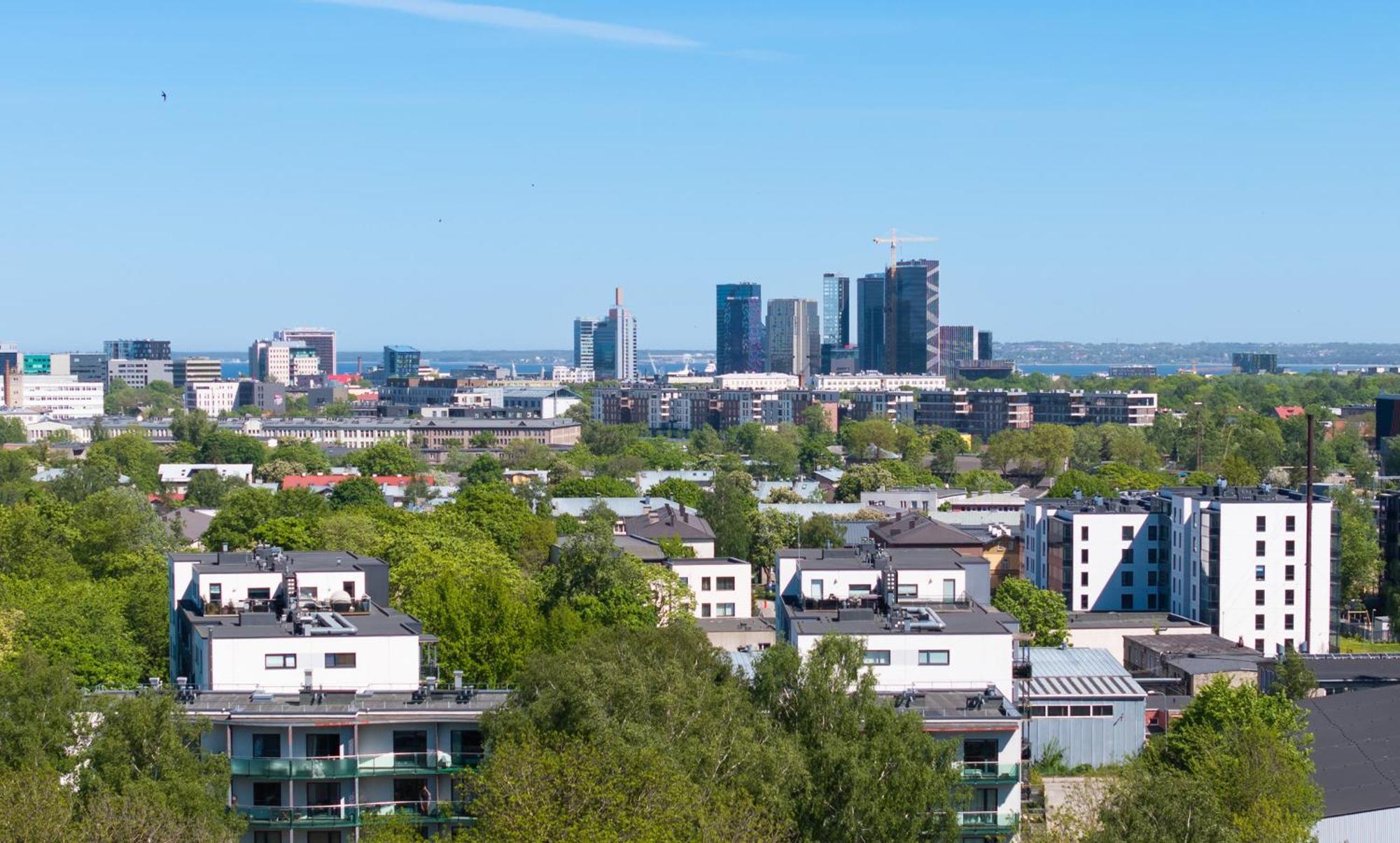 Leilighet Revalia Vektor Fantastic View *